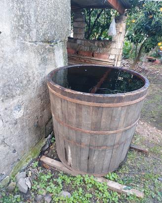 tinozzo 