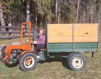 Motoagricola Goldoni 521C55