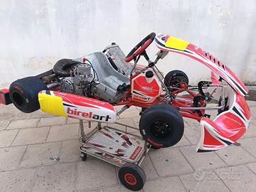kart kz birelart/tm