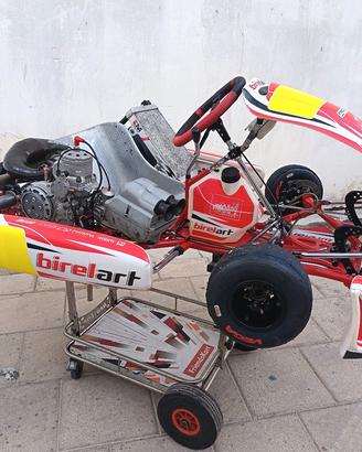 kart kz birelart/tm