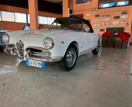 Alfa Romeo Giulia spider 1964
