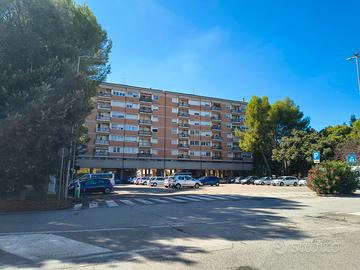 Ampio Appartamento