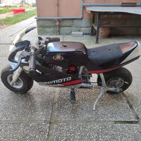 minimoto elettrica