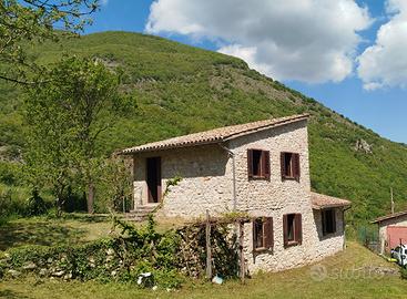 Rustico con terreno