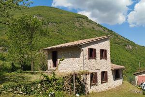 Rustico con terreno