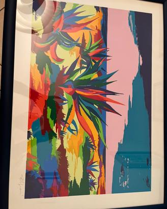 Quadri ( serigrafie e litografie)