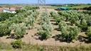 ter-agricolo-a-montalto-di-castro