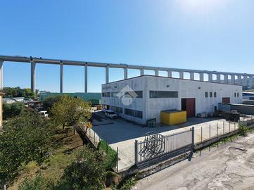 CAPANNONE A TORTORETO