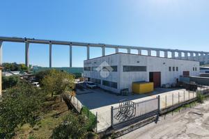 CAPANNONE A TORTORETO