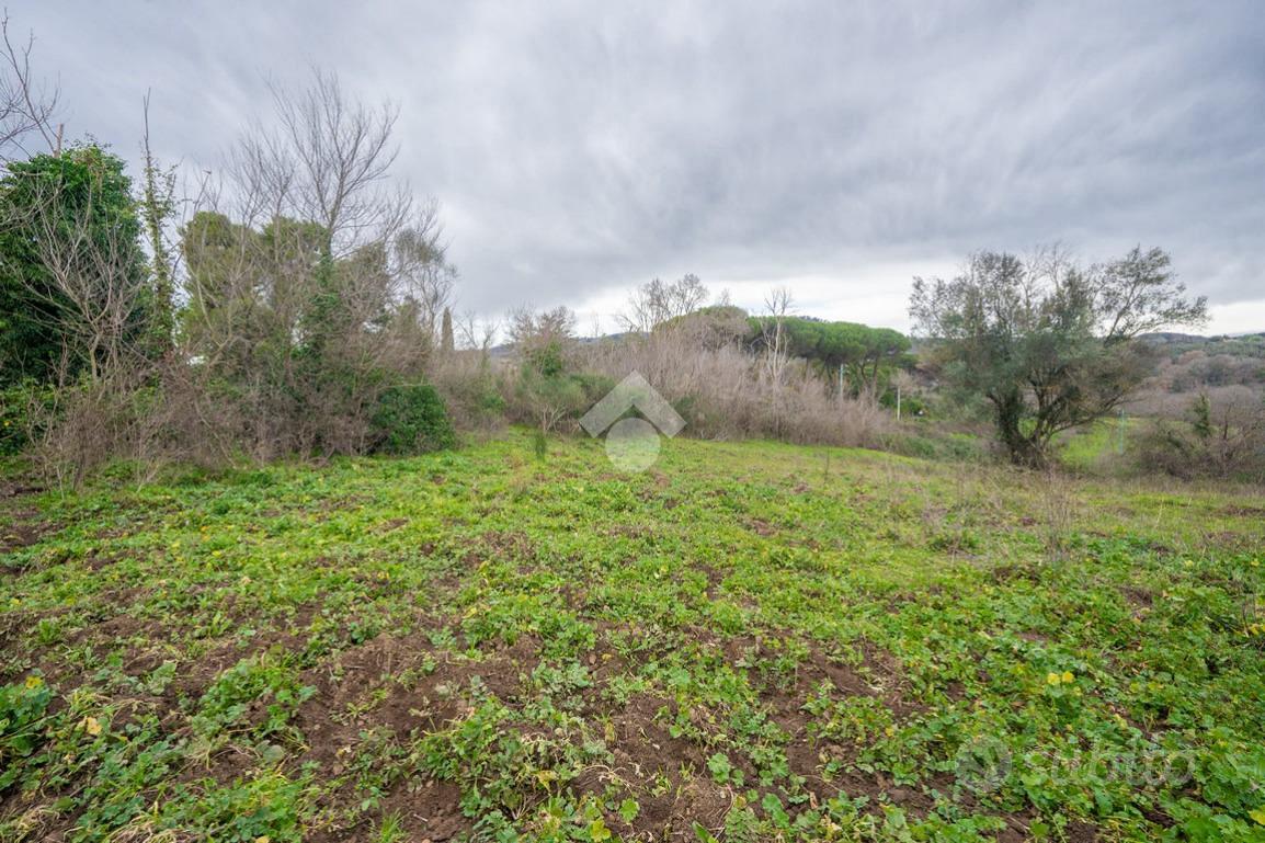 TER. AGRICOLO A SACROFANO - Altro