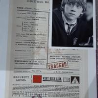 Registro babbani - Ron Weasley - Harry Potter 