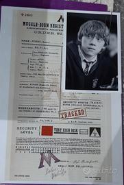 Registro babbani - Ron Weasley - Harry Potter 