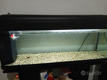 Acquario  100 litri 