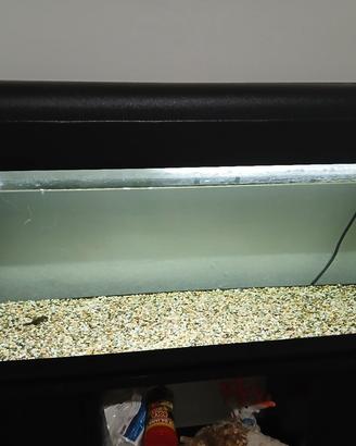 Acquario  100 litri 