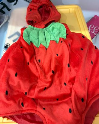 VESTITI CARNEVALE COCCINELLA E FRAGOLINA