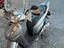 Immagine 2