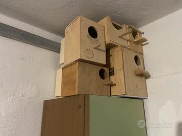 Nido usato in buono conditione