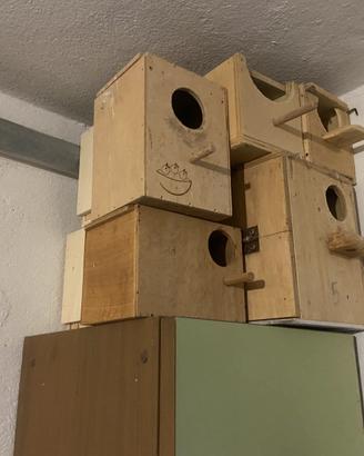 Nido usato in buono conditione