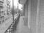 Immagine 11