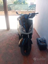 x max 250