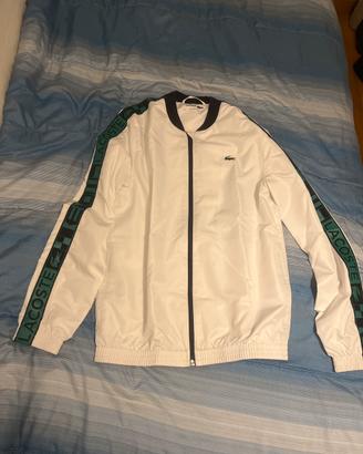 felpa lacoste