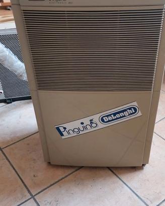 Condizionatore pinguino Delonghi