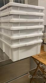Contenitori alimentari 40x60 varie altezze