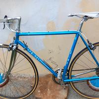 Olmo da corsa d'epoca