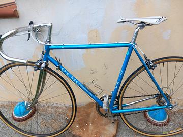 Olmo da corsa d'epoca