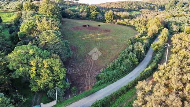 TER. AGRICOLO A MANZIANA