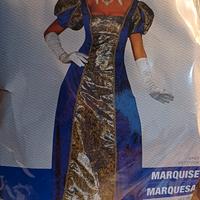 vestito di carnevale 