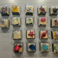 Vetri di Murano, mini animali originali