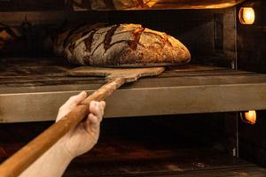 Nuovo Format Gastronomico a Padova