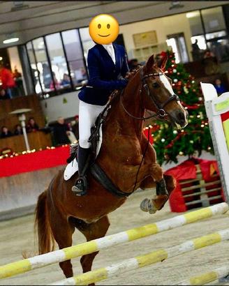 Pony femmina 2009