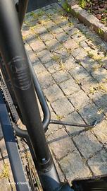 Bicicletta  modello Electra Cruiser