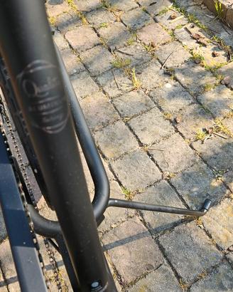 Bicicletta  modello Electra Cruiser