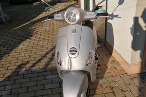 Vespa accidentata