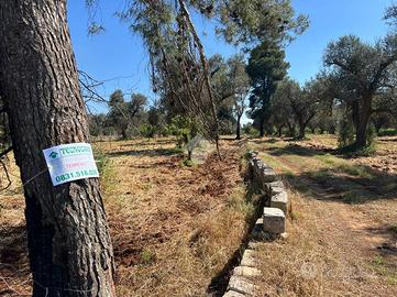 TERRENO A SAN MICHELE SALENTINO