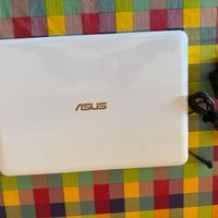 Notebook Asus 14 pollici