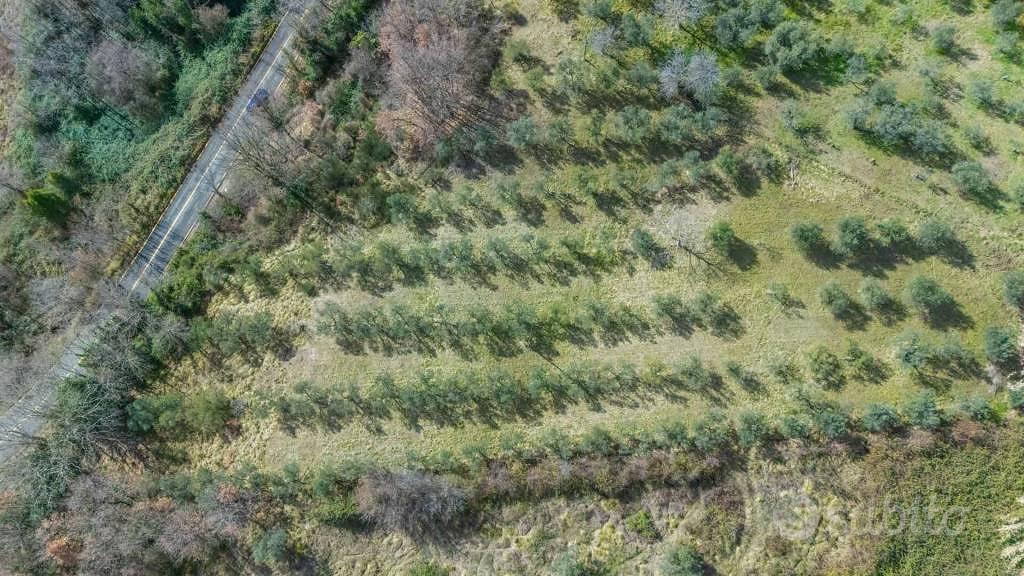 Terreno di 5630 m² a Montenero Sabino - Vista 4