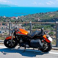 Harley-Davidson Sportster 1200 multi accessoriata