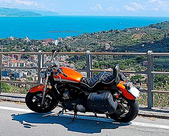 Harley-Davidson Sportster 1200 multi accessoriata