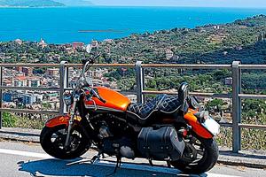 Harley-Davidson Sportster 1200 multi accessoriata