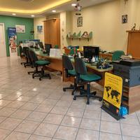 Agenzia viaggi