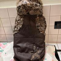 Cappottino cane