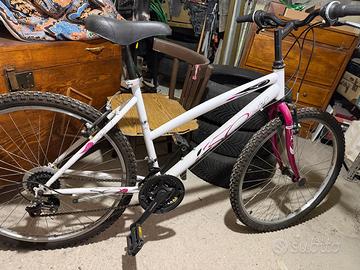 Bicicletta