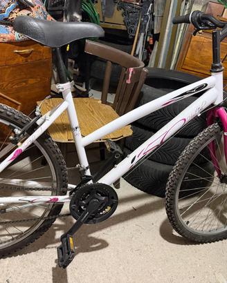 Bicicletta