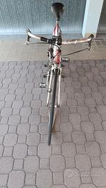 BICICLETTA ALLESTITA TURISMO