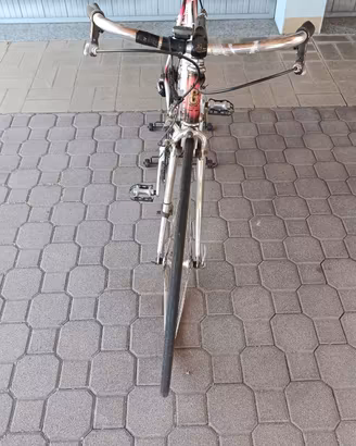 BICICLETTA ALLESTITA TURISMO