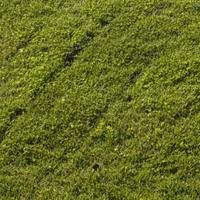 Muratore, manutentore, pittore, giardiniere